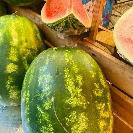 Appartamento Casa Kilò