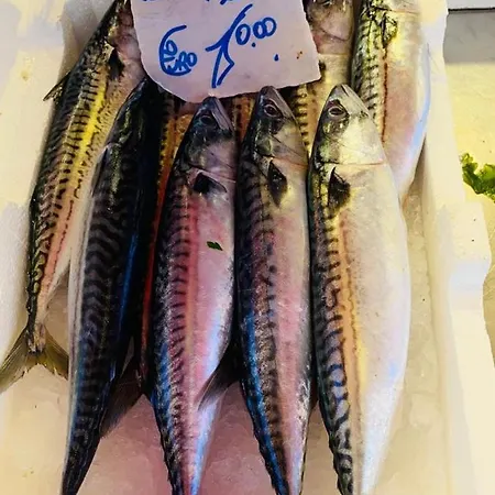 Apartamento Casa Kilo