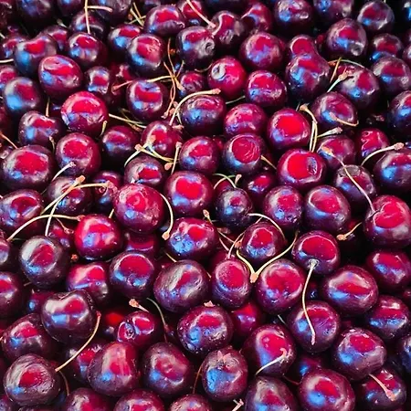 Casa Kilo パレルモ